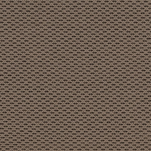 Krem / Quattro - 700