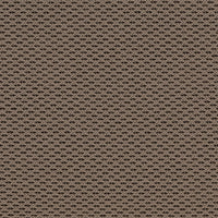 Krem / Quattro - 700